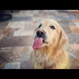 Meet your Posher, Nicholas